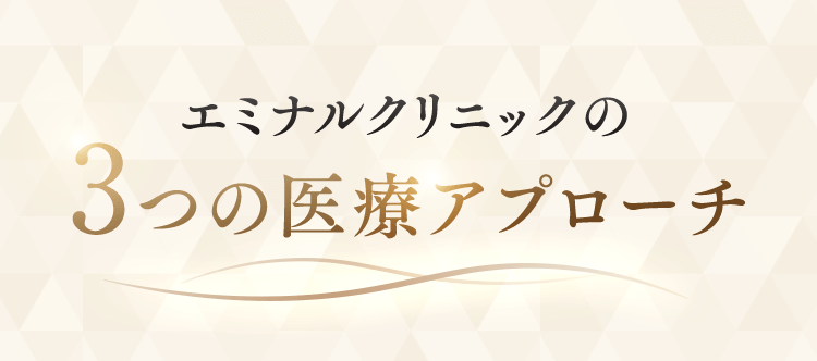 エミナルクリニックの3つの医療アプローチ