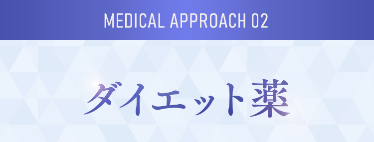 medical approach 02 ダイエット薬