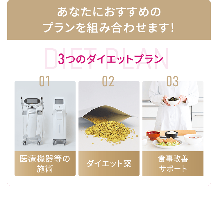 ダイエットプラン