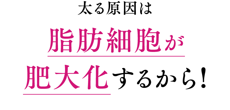 太る原因は脂肪細胞が肥大化するから!