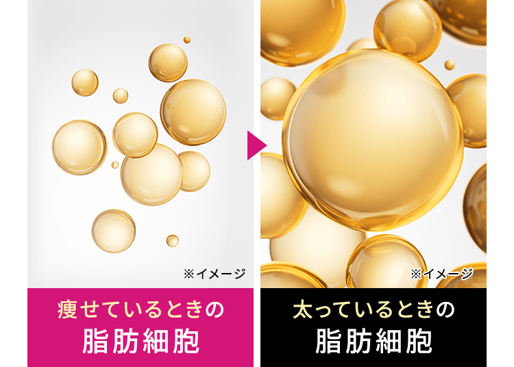 ※イメージ