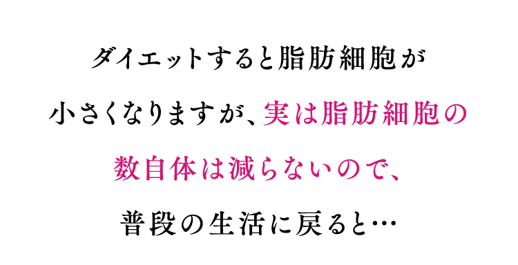 ダイエットすると脂肪細胞が小さくなりますが、実は脂肪細胞の数自体は減らないので、普段の生活に戻ると…