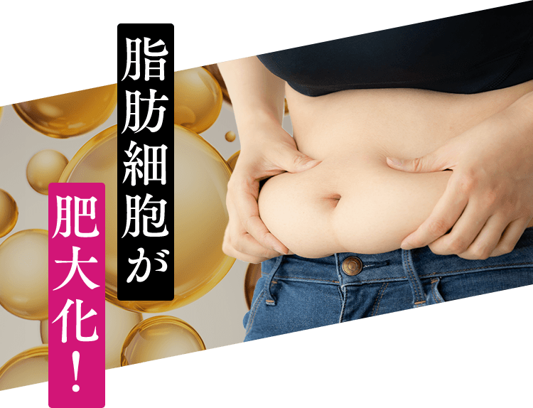 脂肪細胞が肥大化！